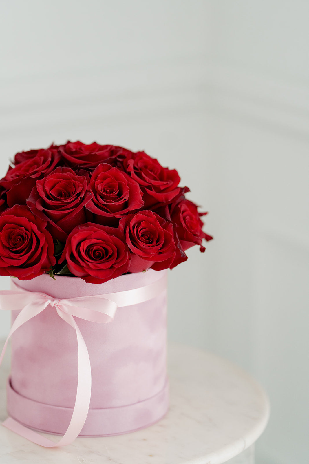 Velvet Embrace, Red Roses in a Velvet Box